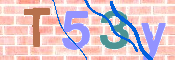 CAPTCHA Bild